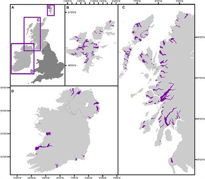Where’s the Carbon: Exploring the Spatial Heterogeneity of Sedimentary Carbon in Mid-Latitude Fjords
